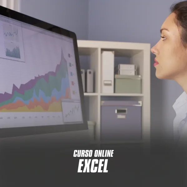 EXCEL